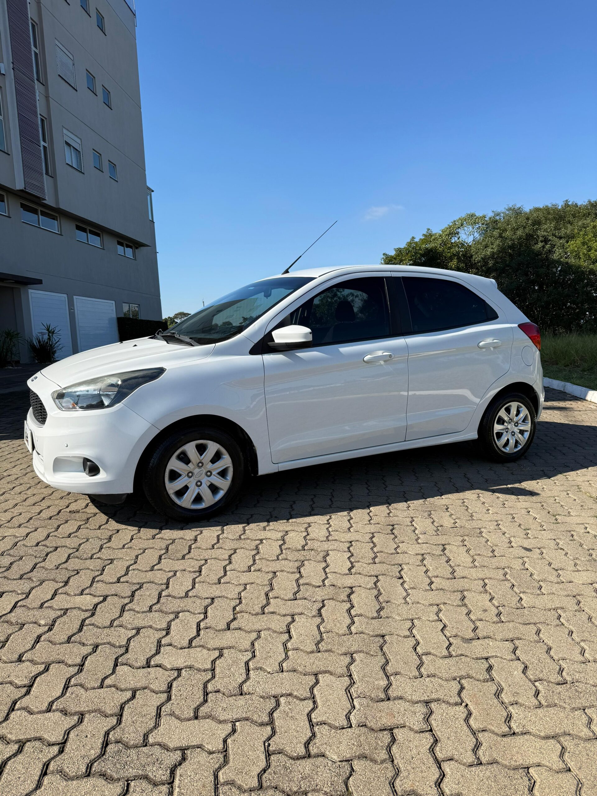 WhatsApp Image 2026-01-30 at 3.41.29 PM (3)