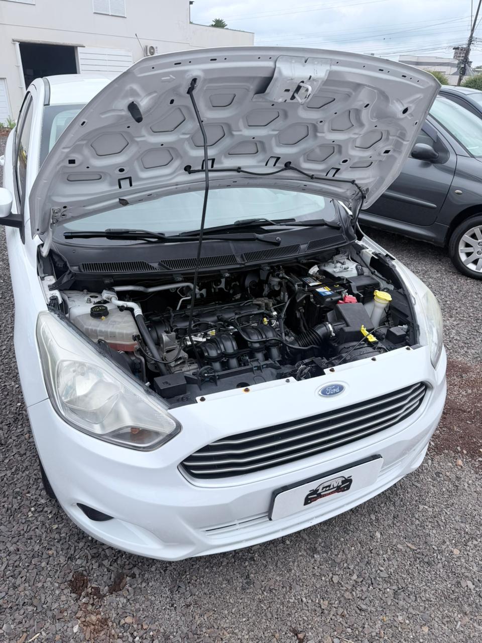 WhatsApp Image 2026-02-06 at 9.27.17 PM