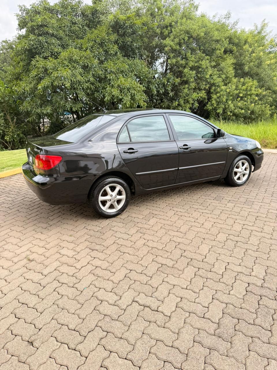 WhatsApp Image 2026-02-20 at 8.51.00 PM