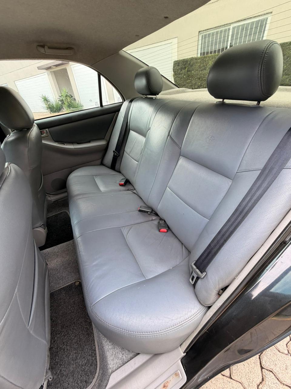 WhatsApp Image 2026-02-20 at 8.51.01 PM