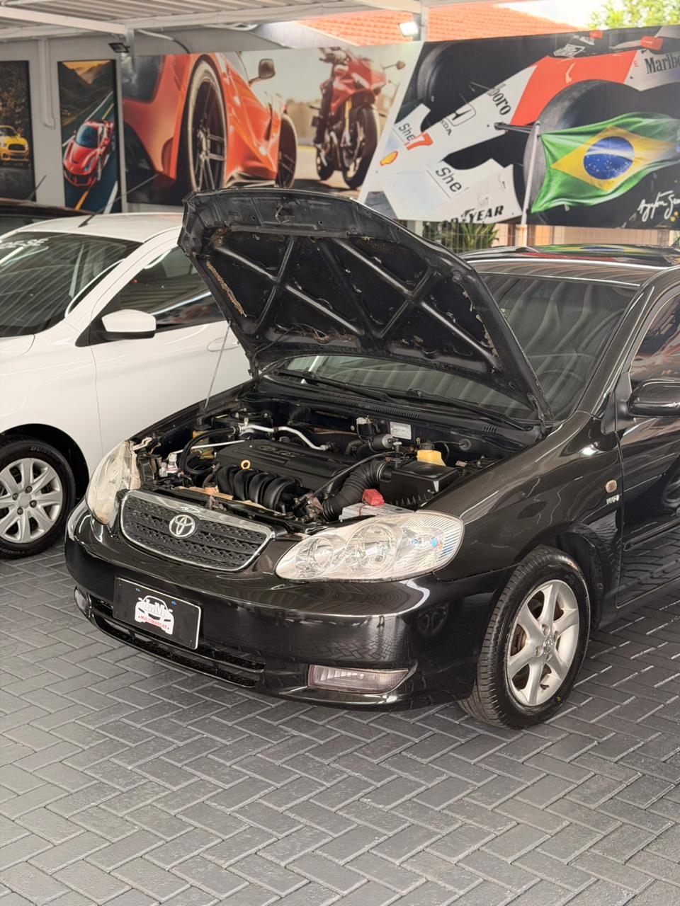 WhatsApp Image 2026-02-20 at 8.51.02 PM